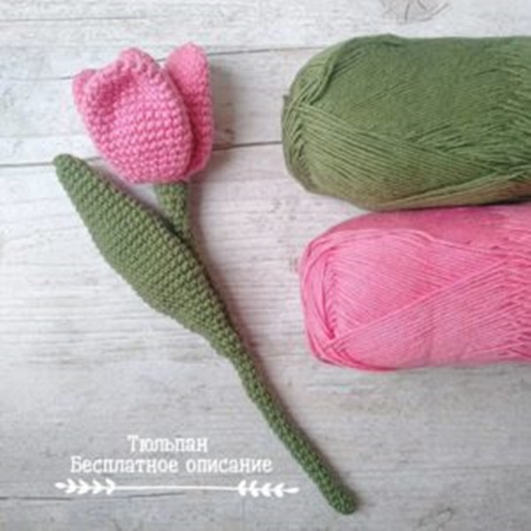 Тюльпан
