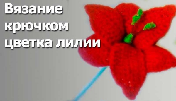 Сложные цветы лилии
