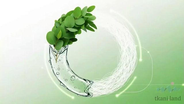 Экологичное производство ткани тенсель из эвкалипта