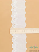 KR_B0021_n Кружево на батисте цвет Теплый белый шир 6 см