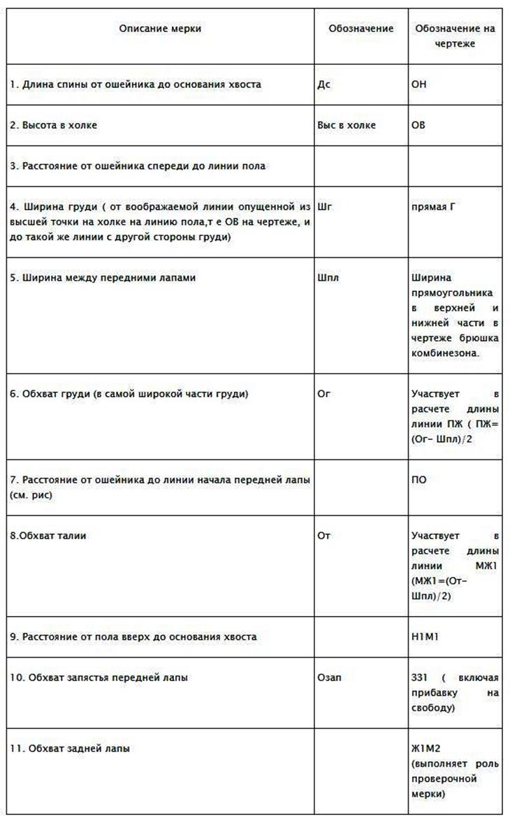 Пошаговое построение выкройки